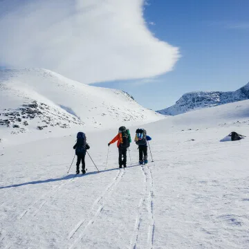 Ski resorts - C7C7.APP